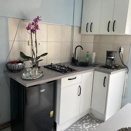 Garsoniera La Casa شقة تيميشورا