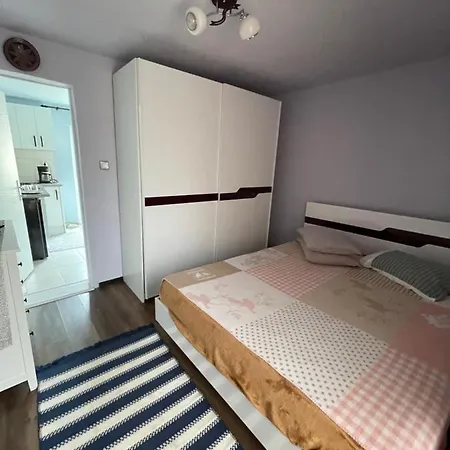 Apartment Garsoniera La Casa *
