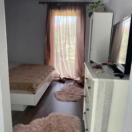 Garsoniera La Casa * تيميشورا